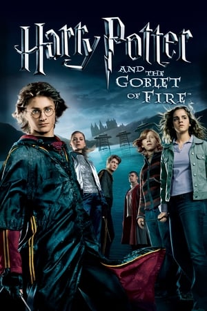 Harry Potter and the Goblet of Fire 2005 Hindi Dual Audio WEB-DL 1080p - 720p - 480p