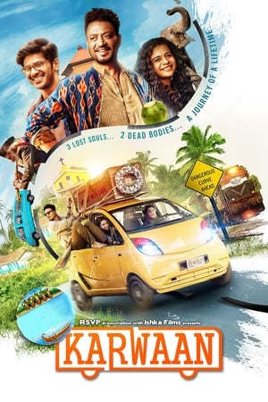 Karwaan (2018) Hindi Movie 720p HDRip x264 [900MB]